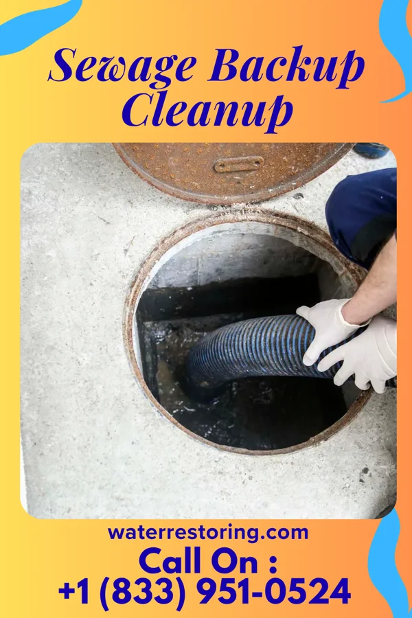 Sewage Backup Cleanup in Oswego, NY