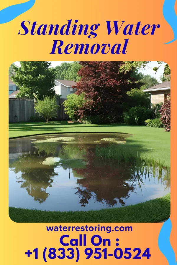 Standing Water Removal in Oswego, NY